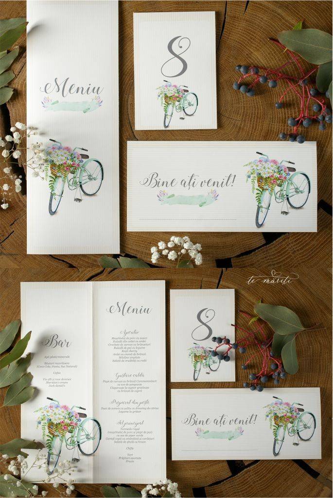 MENIU | PLIC BANI | NR. MASA BICICLETA - TeMariti