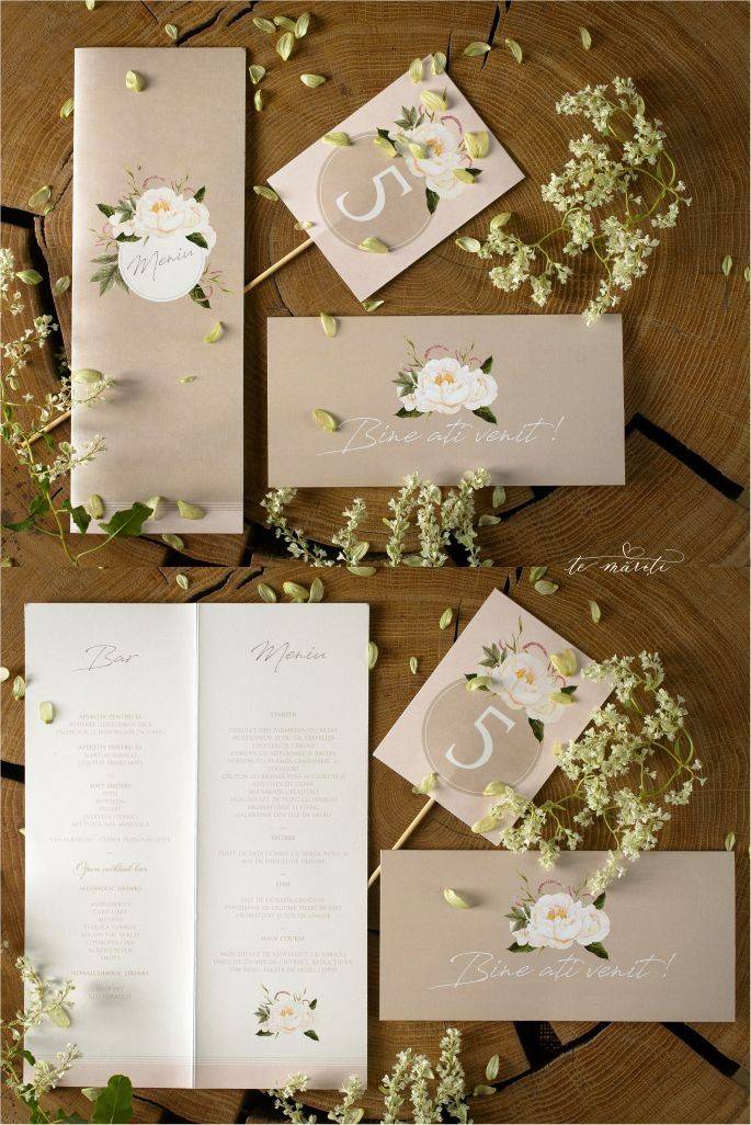 MENIU | PLIC BANI | NR. MASA CAPPUCCINO FLORAL - TeMariti