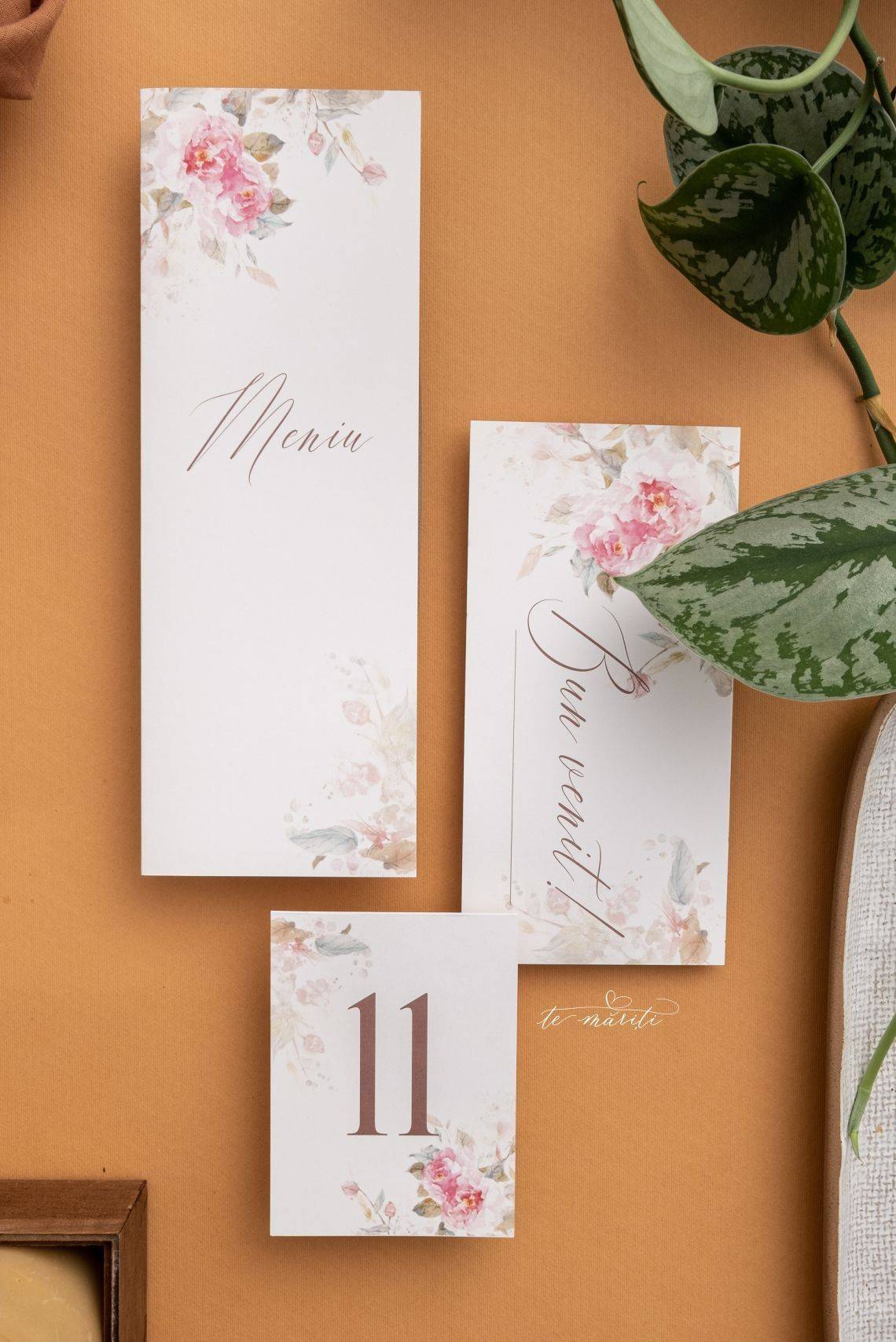 MENIU | PLIC BANI | NR. MASA SOFT PINK - TeMariti